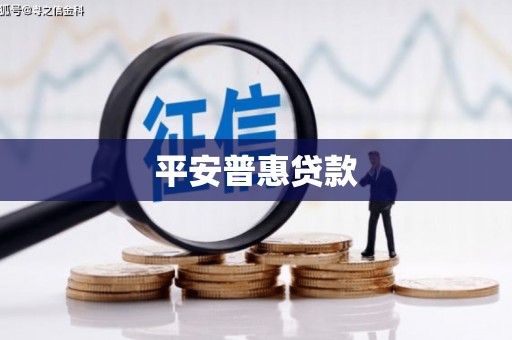 士林平安普惠贷款