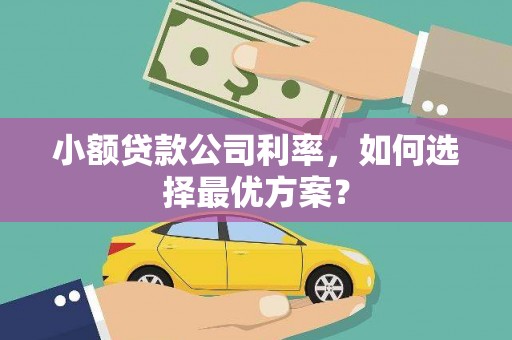 士林小额贷款公司利率，如何选择最优方案？