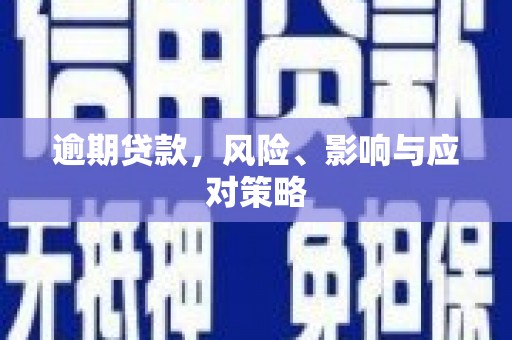 士林逾期贷款，风险、影响与应对策略