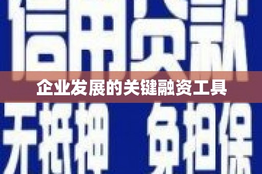 士林企业发展的关键融资工具