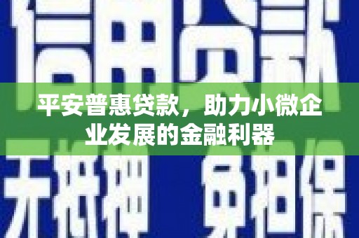士林平安普惠贷款，助力小微企业发展的金融利器