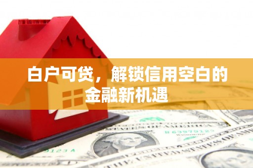 士林白户可贷，解锁信用空白的金融新机遇