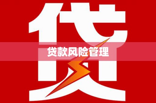 士林贷款风险管理