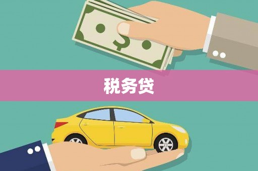 士林税务贷
