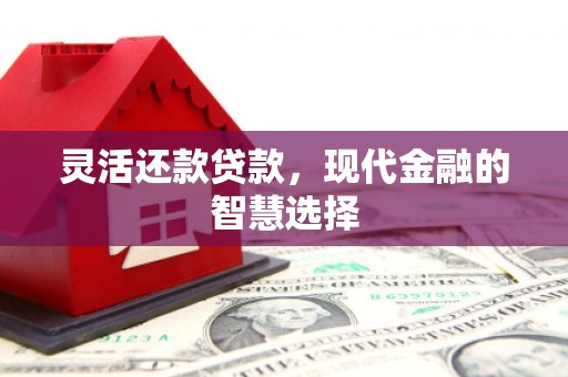 士林灵活还款贷款，现代金融的智慧选择