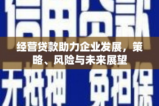 士林经营贷款助力企业发展，策略、风险与未来展望