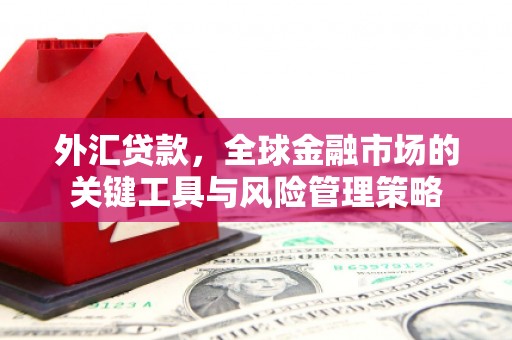 士林外汇贷款，全球金融市场的关键工具与风险管理策略