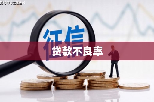 士林贷款不良率