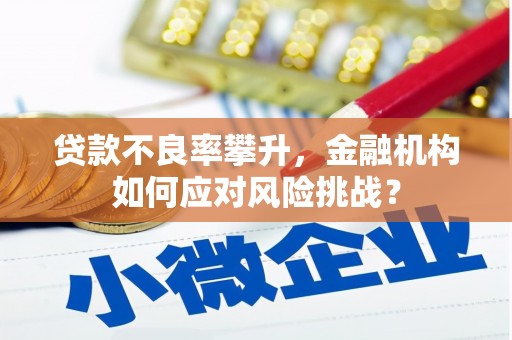 士林贷款不良率攀升，金融机构如何应对风险挑战？