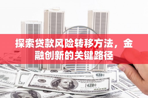 士林探索贷款风险转移方法，金融创新的关键路径