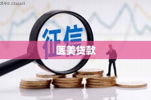 士林医美贷款