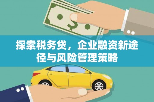 士林探索税务贷，企业融资新途径与风险管理策略