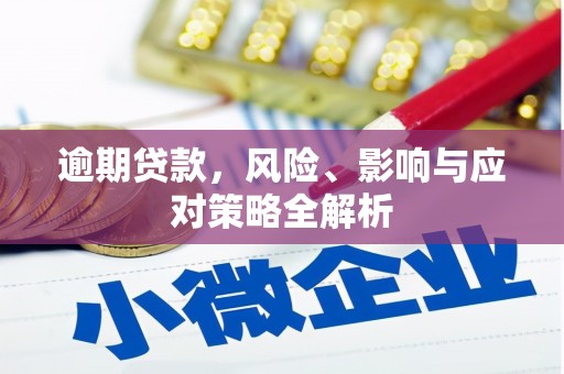 士林逾期贷款，风险、影响与应对策略全解析