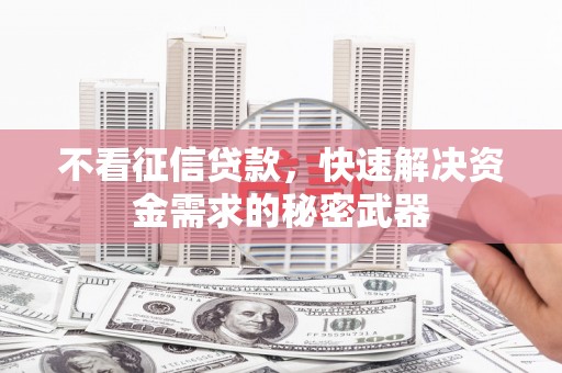 士林不看征信贷款，快速解决资金需求的秘密武器
