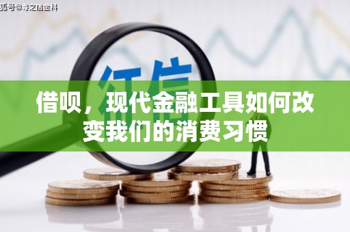 士林借呗，现代金融工具如何改变我们的消费习惯