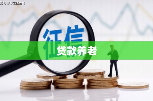 士林贷款养老