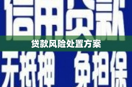 士林贷款风险处置方案