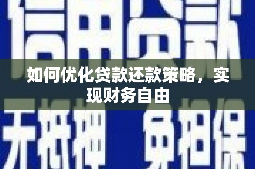 士林如何优化贷款还款策略，实现财务自由