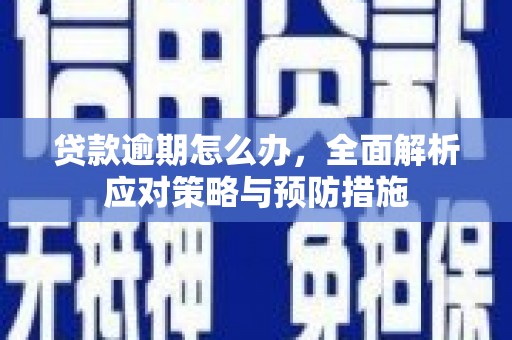 士林贷款逾期怎么办，全面解析应对策略与预防措施