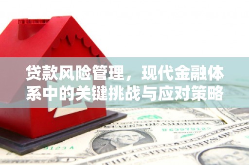士林贷款风险管理，现代金融体系中的关键挑战与应对策略