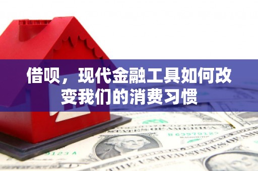 士林借呗，现代金融工具如何改变我们的消费习惯