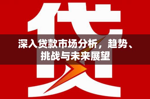 士林深入贷款市场分析，趋势、挑战与未来展望