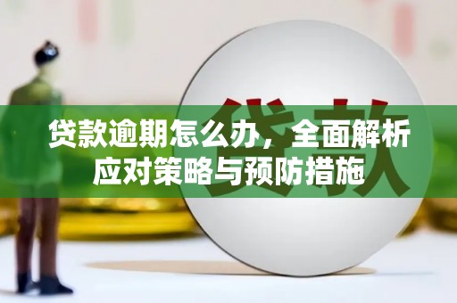 士林贷款逾期怎么办，全面解析应对策略与预防措施