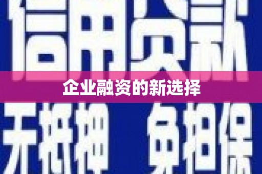 士林企业融资的新选择