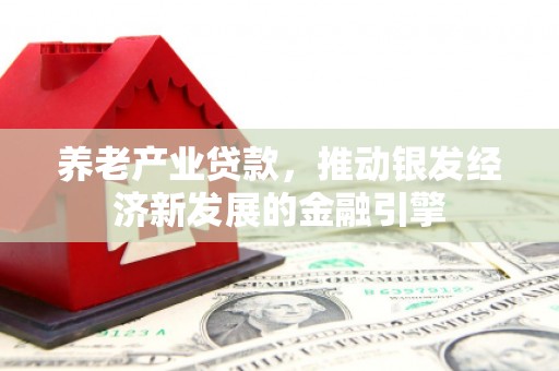 士林养老产业贷款，推动银发经济新发展的金融引擎