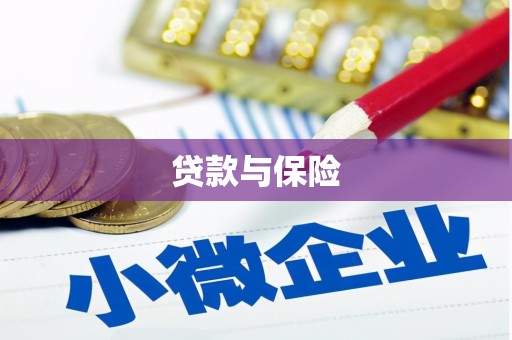 士林贷款与保险