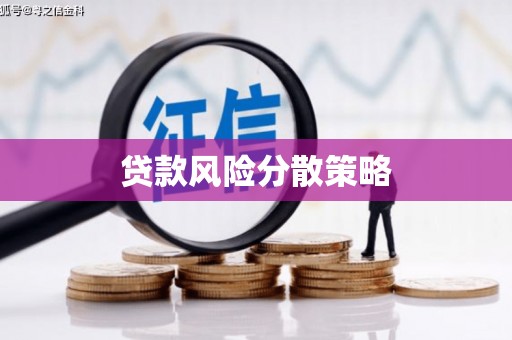 士林贷款风险分散策略
