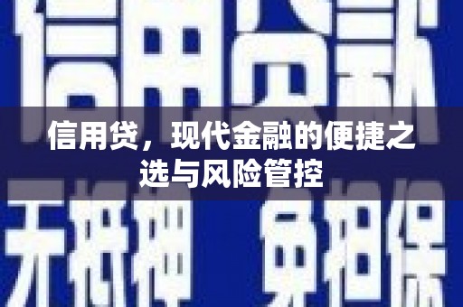 士林信用贷，现代金融的便捷之选与风险管控