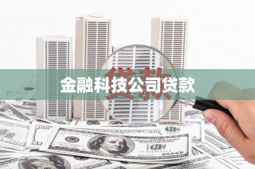 士林金融科技公司贷款