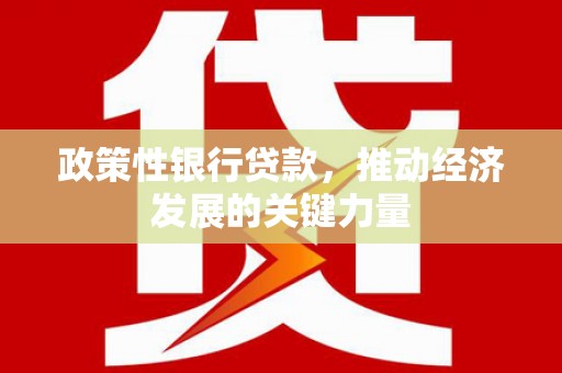 士林政策性银行贷款，推动经济发展的关键力量