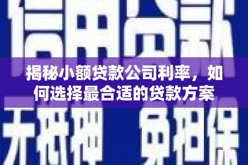 士林揭秘小额贷款公司利率，如何选择最合适的贷款方案