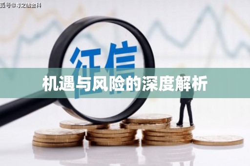 士林机遇与风险的深度解析