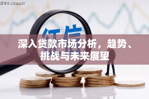 士林深入贷款市场分析，趋势、挑战与未来展望
