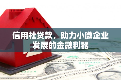 士林信用社贷款，助力小微企业发展的金融利器