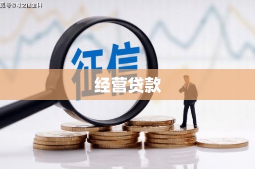 士林经营贷款