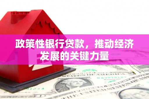 士林政策性银行贷款，推动经济发展的关键力量