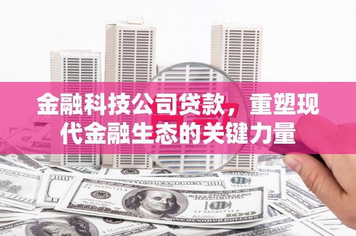 士林金融科技公司贷款，重塑现代金融生态的关键力量
