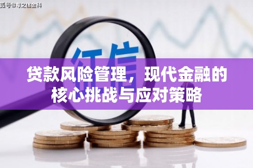 士林贷款风险管理，现代金融的核心挑战与应对策略