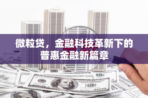 士林微粒贷，金融科技革新下的普惠金融新篇章