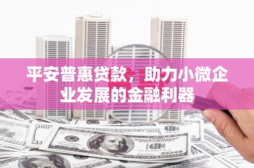 士林平安普惠贷款，助力小微企业发展的金融利器
