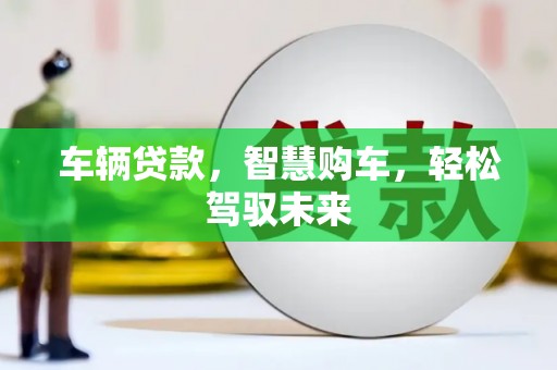 士林车辆贷款，智慧购车，轻松驾驭未来