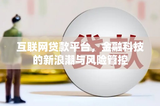 士林互联网贷款平台，金融科技的新浪潮与风险管控