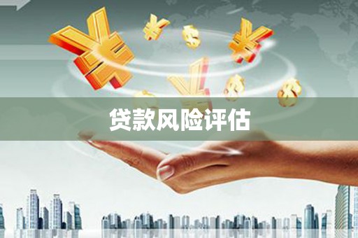 士林贷款风险评估