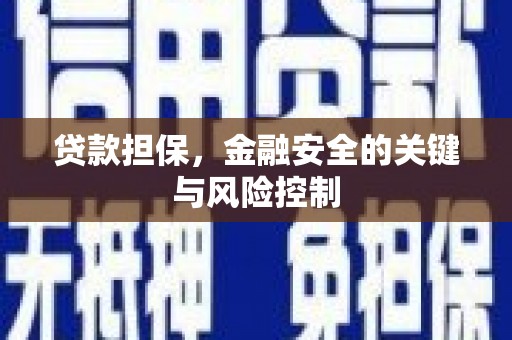 士林贷款担保，金融安全的关键与风险控制