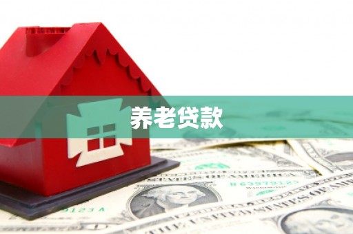 士林养老贷款