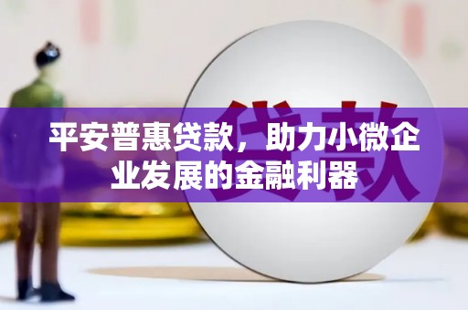 士林平安普惠贷款，助力小微企业发展的金融利器